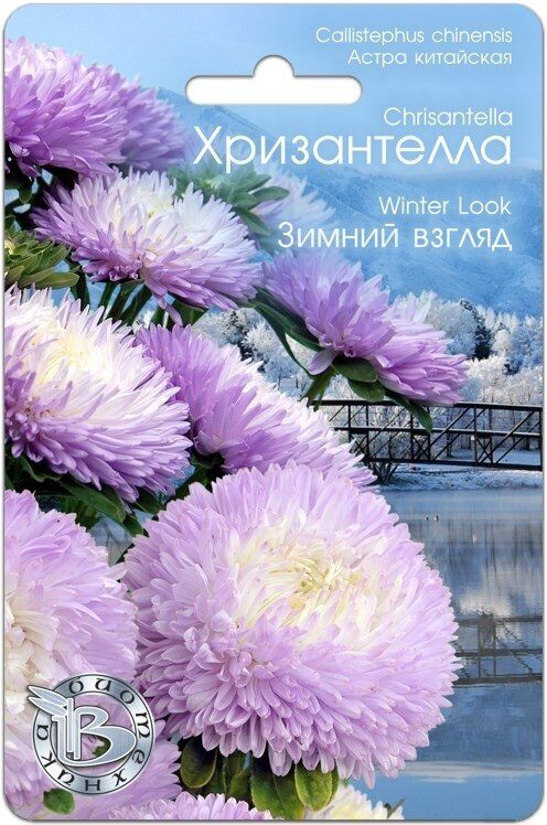 Астра ХРИЗАНТЕЛЛА Зимний взгляд однолетник 30шт (Биотехника)