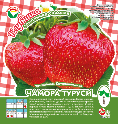 Клубника Чамора Туруси А 10шт/пучок (Сиб сад)