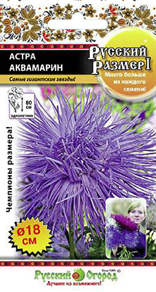 Астра РУССКИЙ РАЗМЕР I Аквамарин однолетник 0,3г (НК)