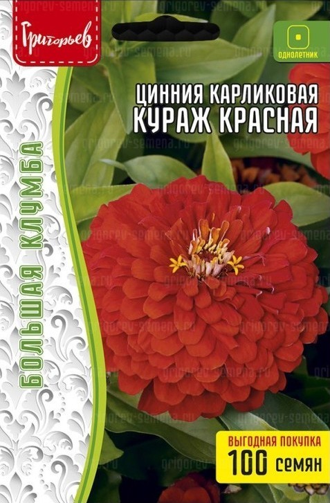 Цинния Кураж Красная карликовая большая грядка 100шт (Ред.сем)