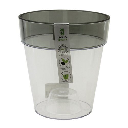 Орхидея Протея 1,4л дымка ободок (Ливингрин)(20шт)