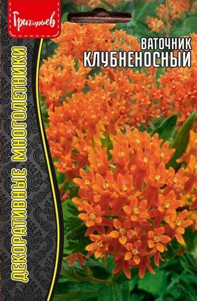 Ваточник Клубненосный Asclepias tuberosa многолетник 10шт (Ред.Сем)