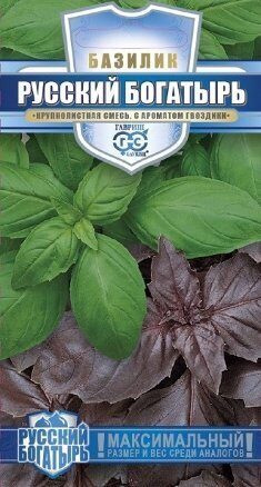 Базилик Русский богатырь смесь Русский богатырь 0,3г (Гавриш)