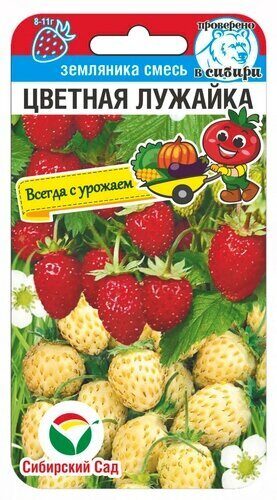 Земляника Цветная лужайка 10шт смесь (Сиб Сад)