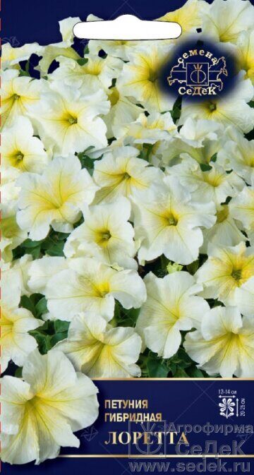 Петуния Лоретта F1 крупноцветковая 5шт (Седек)