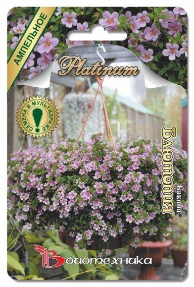 Бакопа Блютопия однолетник 5шт (Биотехника)