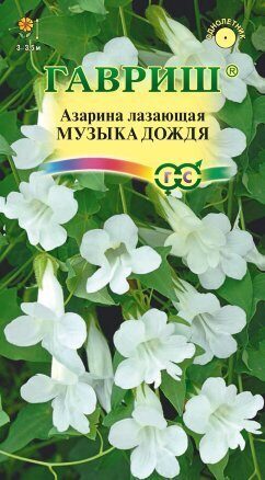 Азарина Музыка дождя однолетник 4шт (Гавриш)