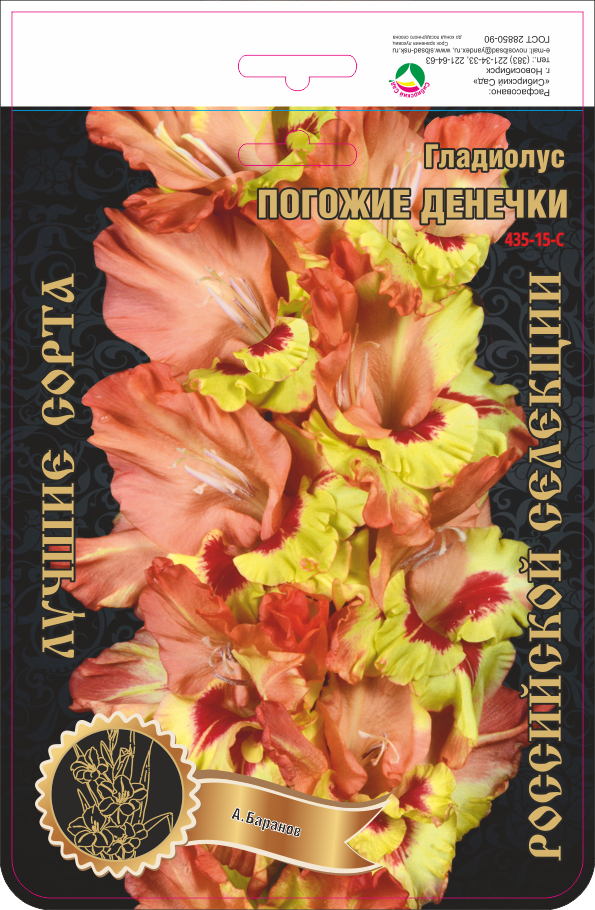 Гладиолус Подарок Любимой 545,Фотин Экстра 1шт (Ф)