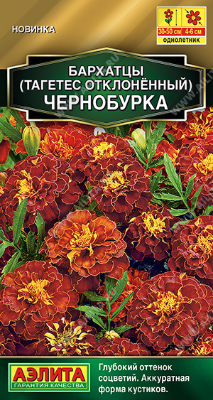 Бархатцы Чернобурка однолетник 0,3г (Аэлита)