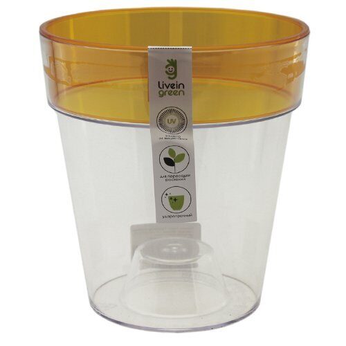 Орхидея Протея 1,4л янтарный ободок (Ливингрин)(20шт)