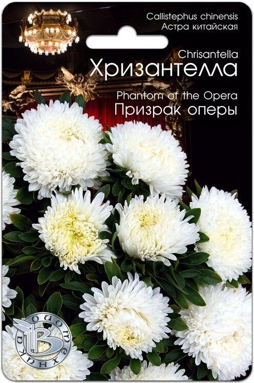 Астра ХРИЗАНТЕЛЛА Призрак оперы однолетник 30шт (Биотехника)