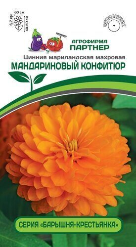 Цинния Мандариновый конфитюр махровая 5шт (Партнер)