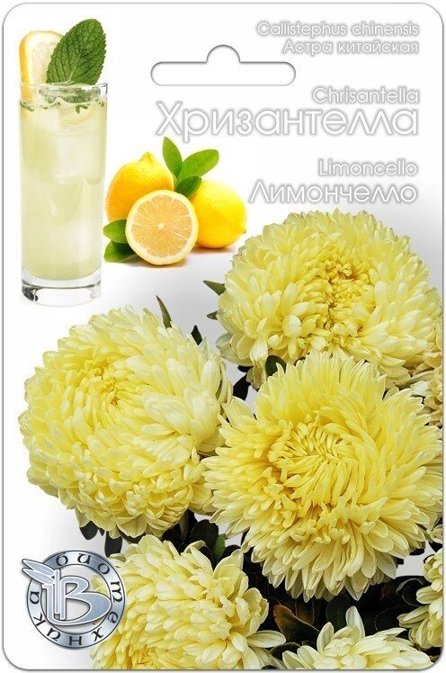 Астра ХРИЗАНТЕЛЛА Лимончелло однолетник 30шт (Биотехника)