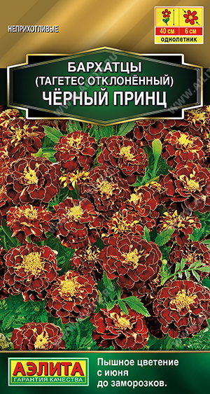 Бархатцы Черный принц однолетник 0,3г (Аэлита)