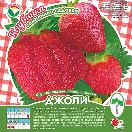Клубника Джоли А 10шт/пучок (Сиб сад)