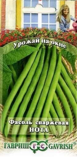 Фасоль Нота кустовая спаржевая 5г (Гавриш)