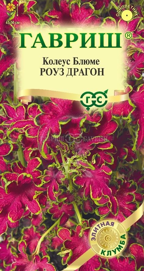 Колеус Роуз Драгон Элитная клумба 4 шт (Гавриш)