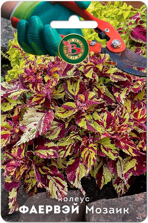 Колеус ФАЕРВЭЙ Мозаик супер компактный 10шт (Биотехника)