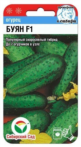 Огурец Буян F1 7шт (Сиб сад)