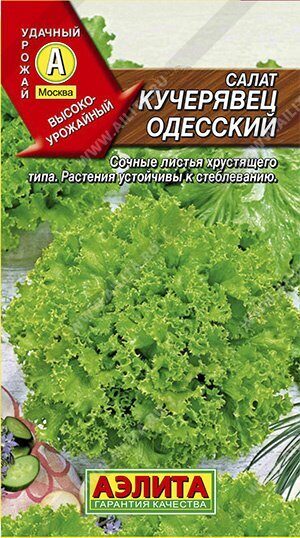 Салат Кучерявец Одесский полукочанный 0,5г (Аэлита)