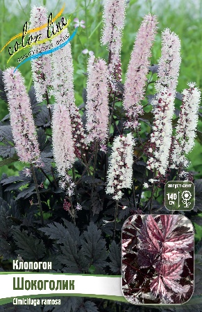 Клопогон Шокоголик 1шт (Колорлайн)