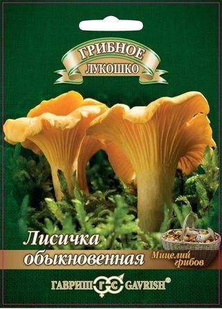Лисички на зерновом субстрате 15мл (Гавриш)
