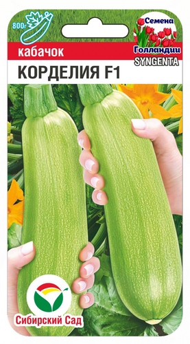 Кабачок Корделия 3шт (Сиб Сад)