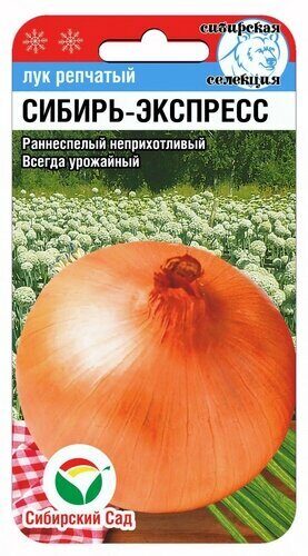 Лук репчатый Сибирь-Экспресс 1г (Сиб Сад)