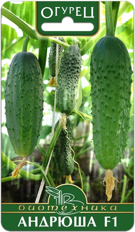 Огурец Андрюша F1 8шт (Биотехника)