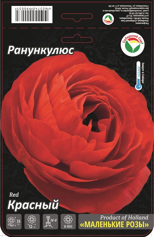 Ранункулюс Красный 6/7 15шт (Сиб сад)