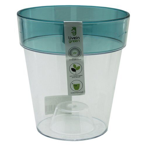 Орхидея Протея 1,4л бирюза ободок (Ливингрин)(20шт)