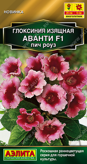 Глоксиния Аванти F1 пич роуз 5шт (Аэлита)