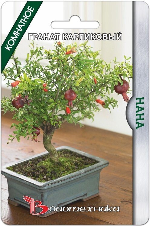 Гранат Нана карликовый 5шт (Биотехника)