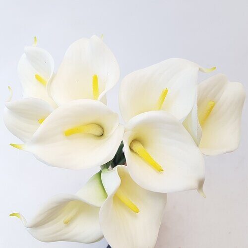 Цветы SB9172-7 Калла букет Белые из 9шт (Сиб Сад)(24шт)