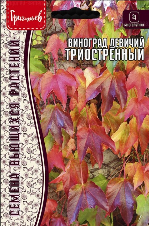Виноград Триостренный девичий 0,2г (Ред.Сем.)