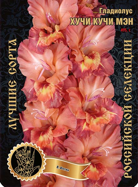 Гладиолус Хучи Кучи Мэн 495,Фотин 1 р-р 1шт (Ф)