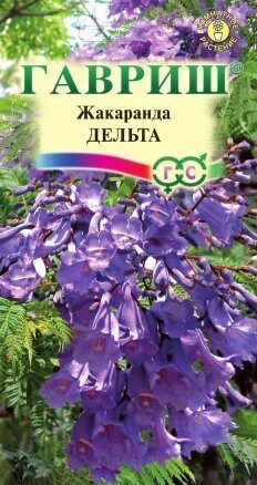 Жакаранда Дельта 3шт (Гавриш)