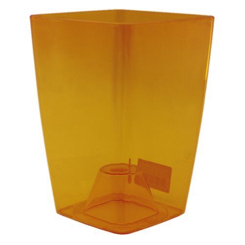 Орхидея Сильвия 1,9л желтая в18 д12 (Ливингрин)(18шт)