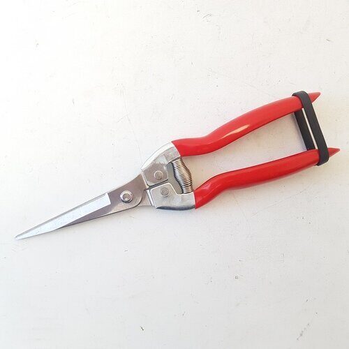 Ножницы SB21-1 универсальные для цветов (Сиб Сад)(10шт)