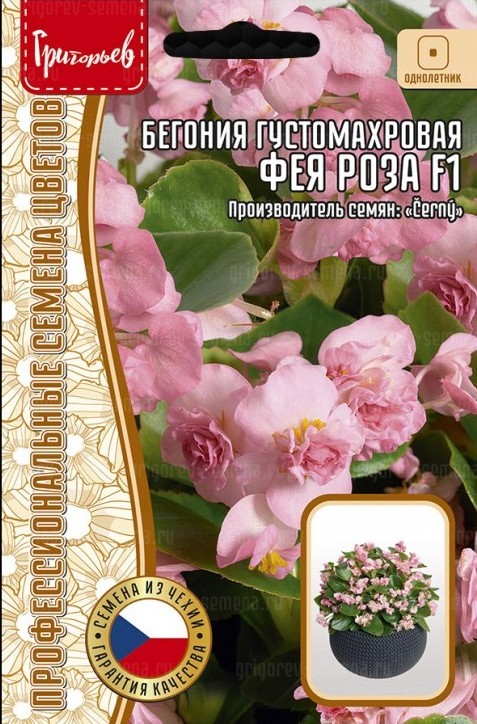 Бегония Фея роза F1 густомахровая однолетник 5др (Ред.Сем)
