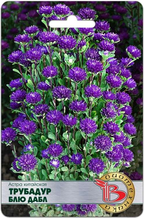 Астра Трубадур Блю Дабл китайская однолетник 20шт (Биотехника)