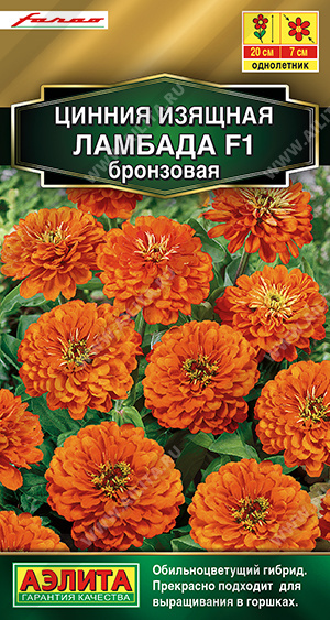 Цинния Ламбада F1 бронзовая низкорослая однолетник 12шт (Аэлита)