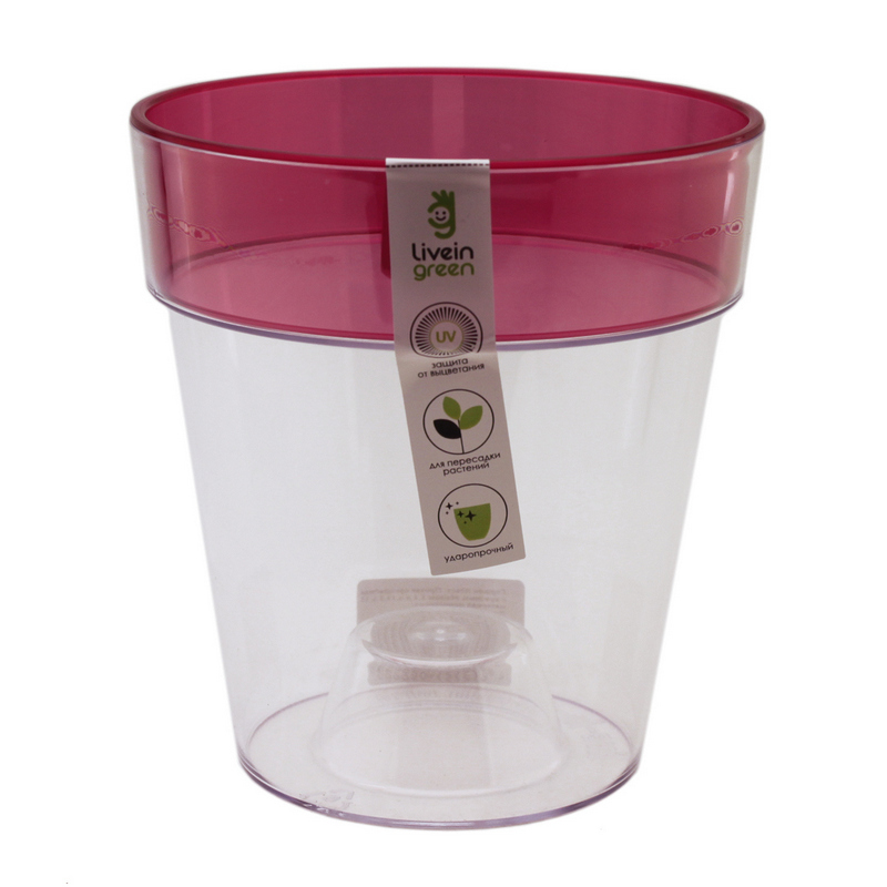 Орхидея Протея 1,4л красный ободок (Ливингрин)(20шт)