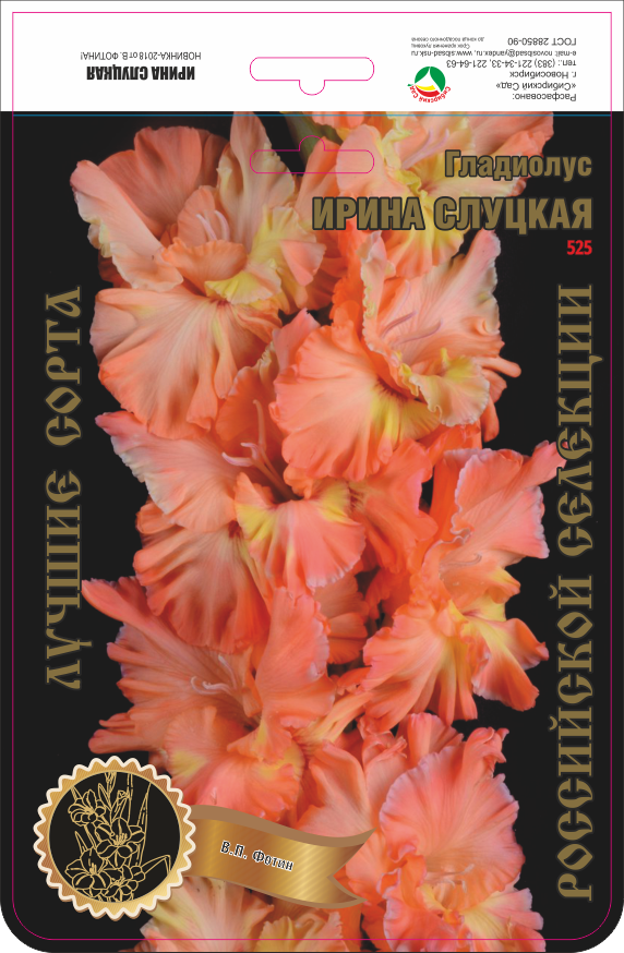 Гладиолус Ирина Слуцкая 525,Фотин Экстра 1шт (Ф)
