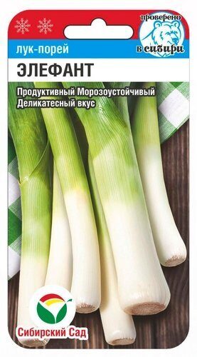 Лук Порей Элефант 0,5г (Сиб Сад)