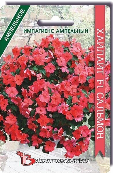 Импатиенс (бальзамин) Хайлайт F1 Сальмон 10шт (Биотехника)