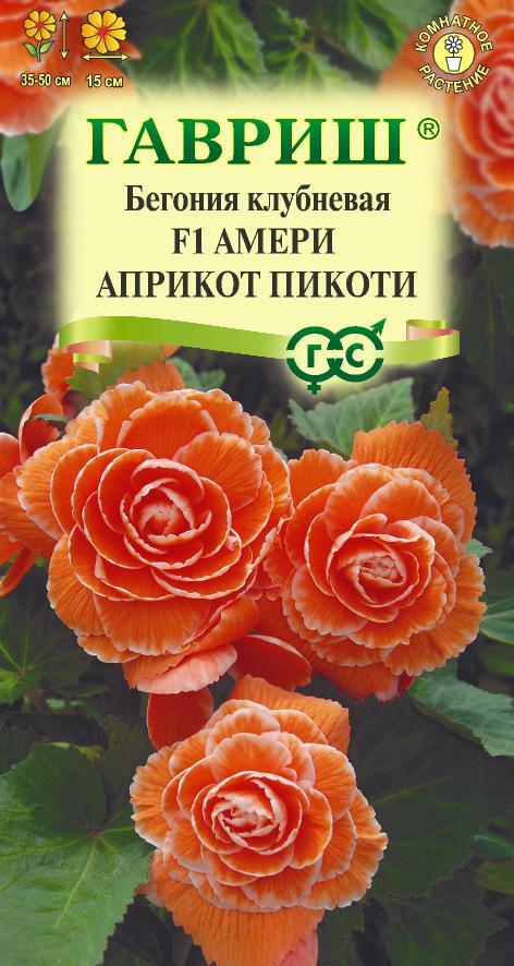 Бегония Амери априкот пикоти F1 клубневая 4шт (Гавриш)