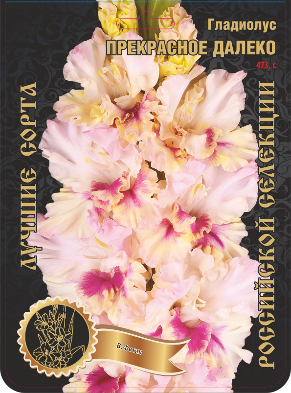 Гладиолус Прекрасное Далеко 473,Фотин Экстра 1шт (Ф)