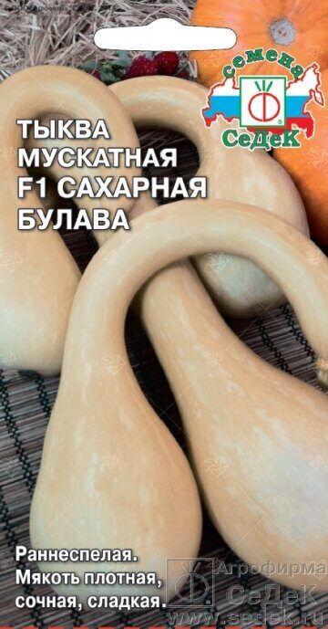 Тыква Сахарная Булава F1 1г (Седек)