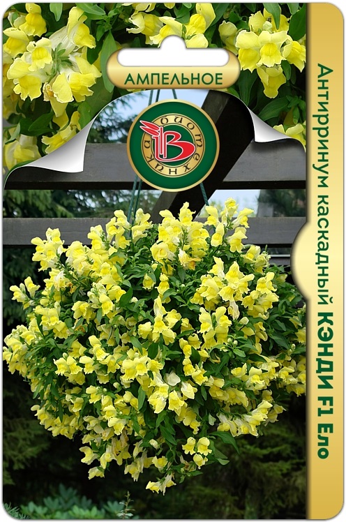 Антирринум КЭНДИ F1 Ело каскадный однолетник 15шт (Биотехника)